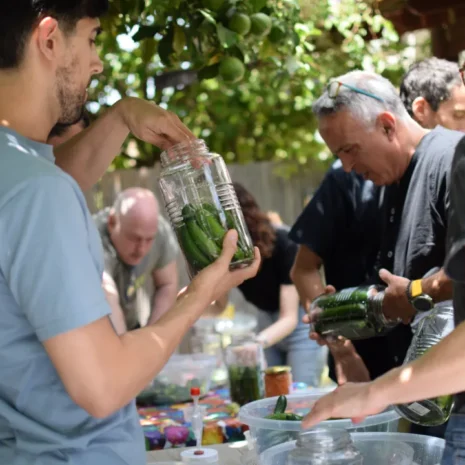 אומנות ההתססה: סדנת התססה מעמיקה להכנת חמוצים פרוביוטים