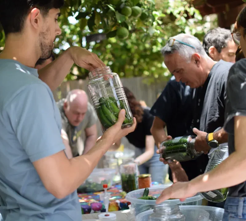 אומנות ההתססה: סדנת התססה מעמיקה להכנת חמוצים פרוביוטים