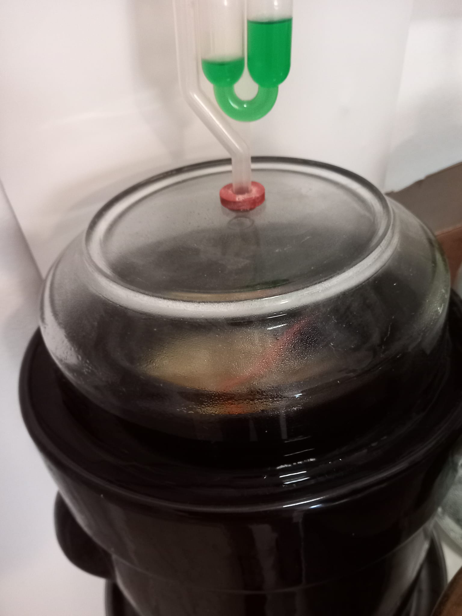 קדרת התססה עם מכסה פיירקס