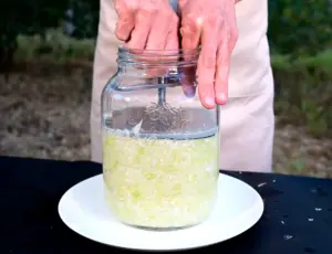 המדרך לכלי ההתססה של האקדמיה למזונות מותססים