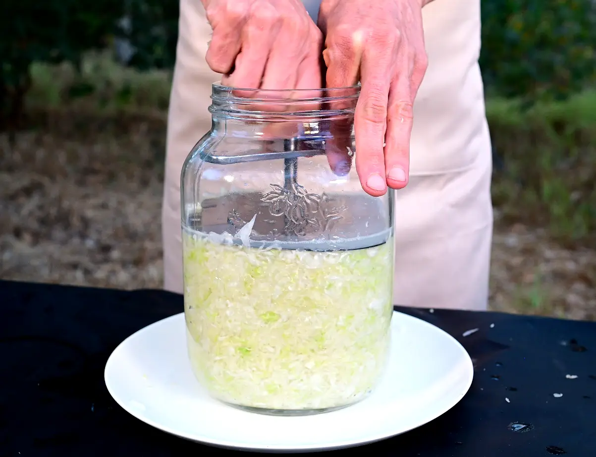 המדרך לכלי ההתססה של האקדמיה למזונות מותססים