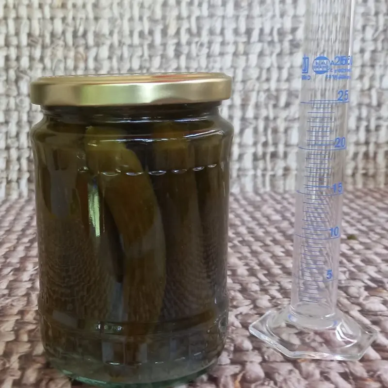 מלפפון מותסס