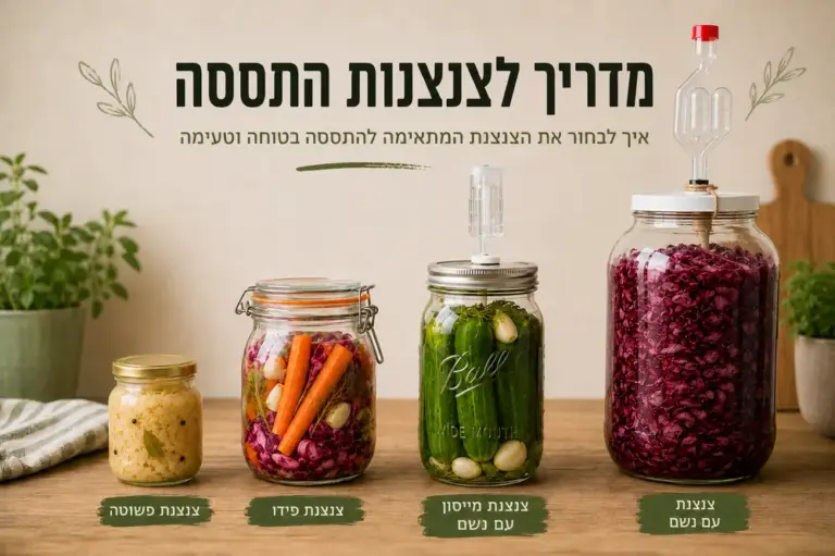 ארבע צנצנות התססה שונות בגדלים שונים, כרוב כבוש, מלפפונים חמוצים וירקות מותססים, על שולחן עץ