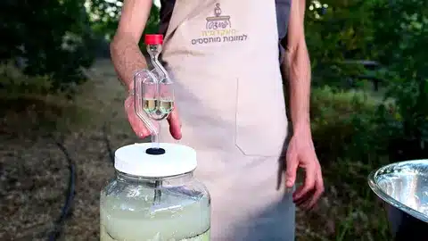 שלב שלישי בהתססה